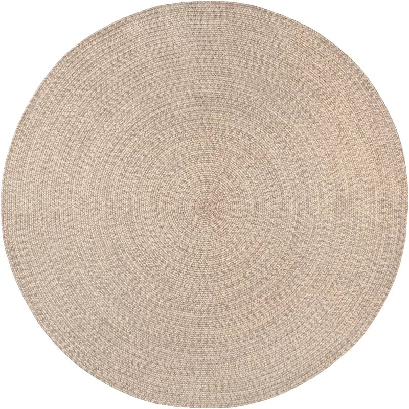 Darcy Braided Tan Indoor/Outdoor Rug - Real Life Co