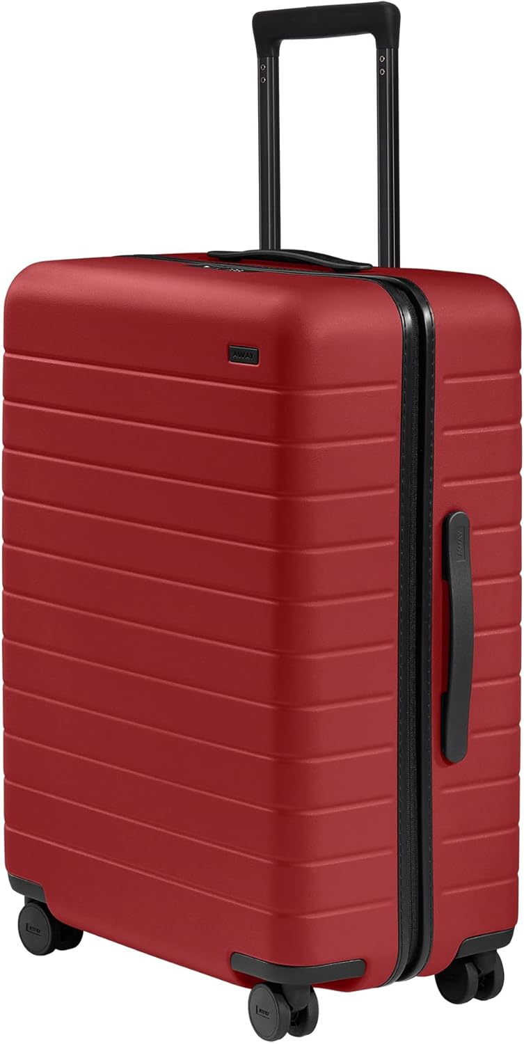 Lightweight Hard Shell Suitcase with Spinner Wheels, Medium - Real Life Co