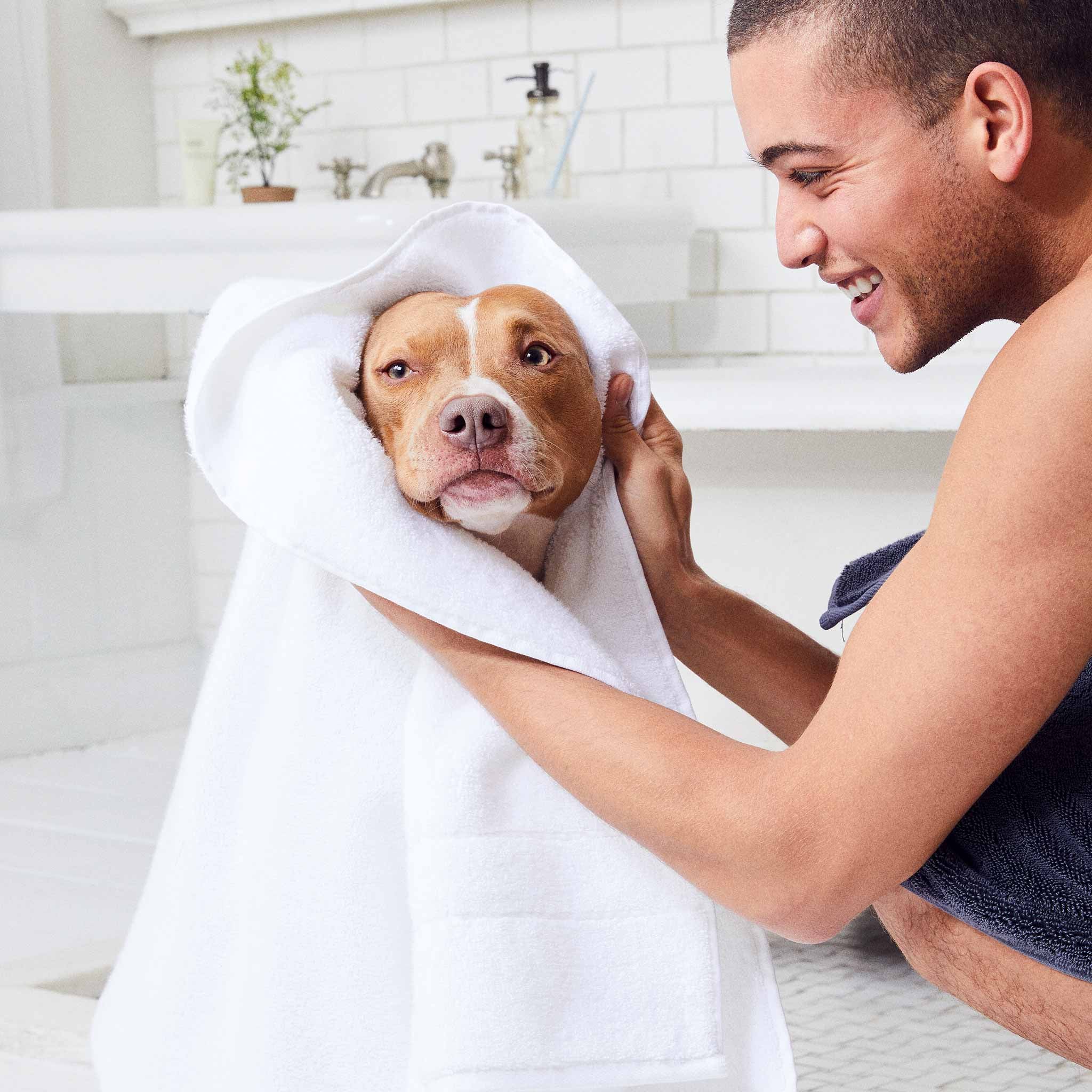 Super - Plush Turkish Cotton Towel Move - In Bundle - Real Life Co