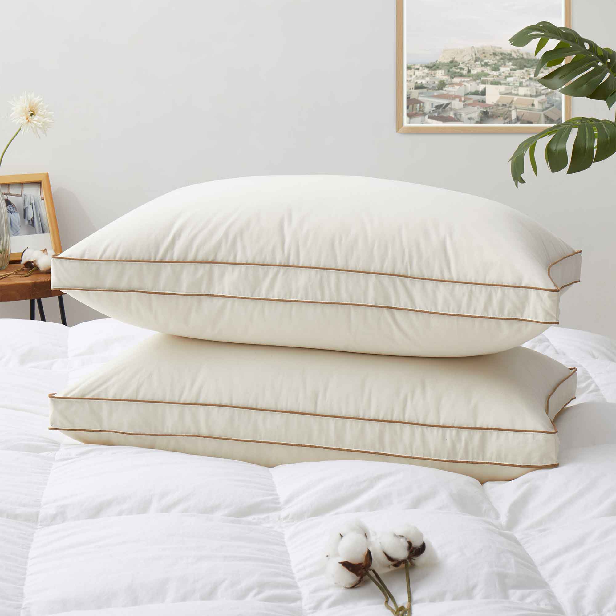 2 Pack Organic Cotton down Feather Pillows - Real Life Co