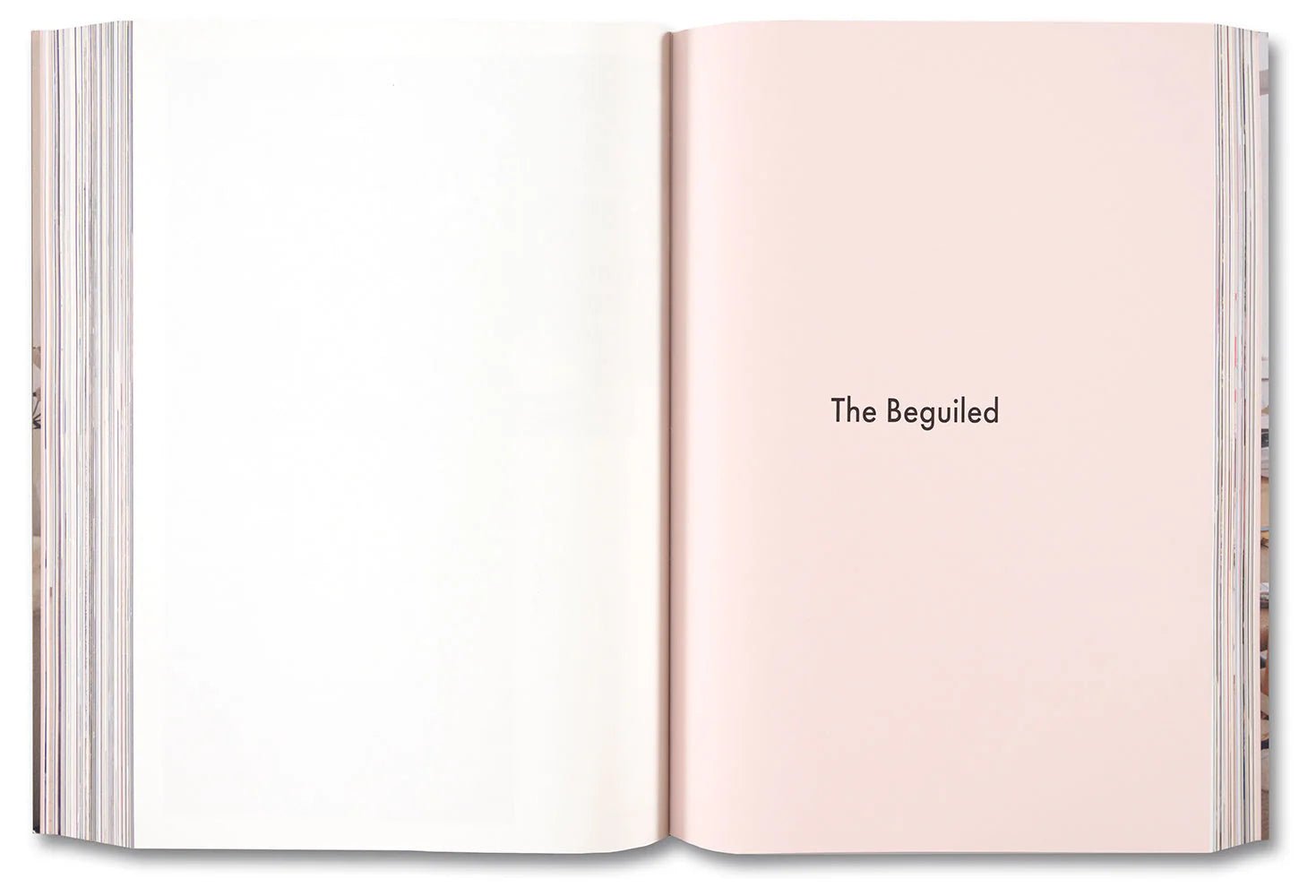 Archive Archive - Real Life Co