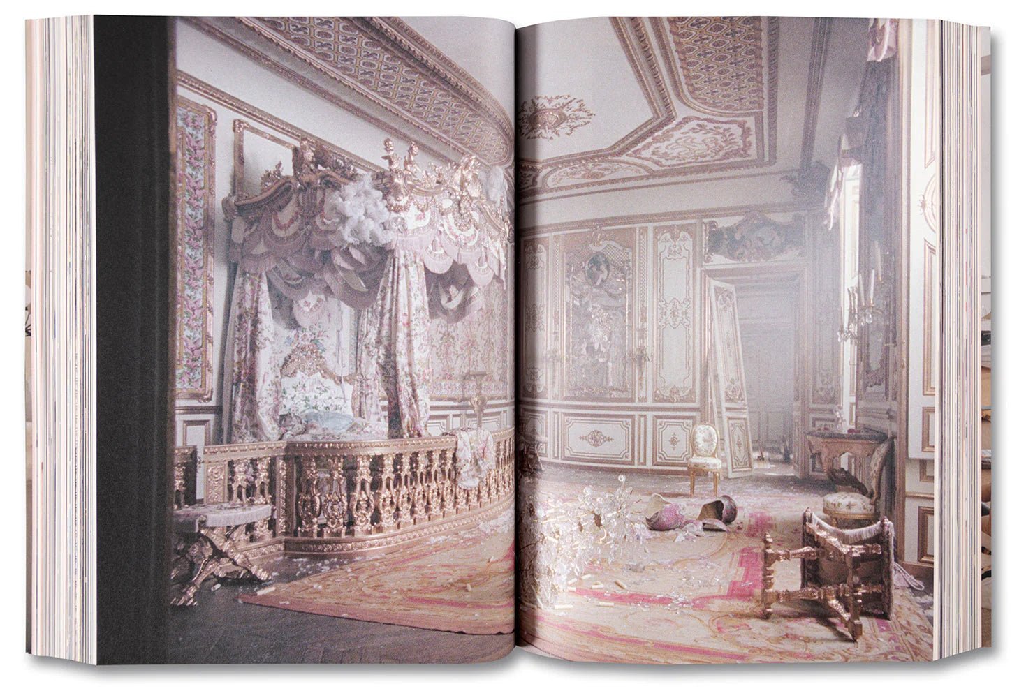 Archive Archive - Real Life Co