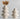 Ceramic Vases White Minimalist Flower Vase, set of 2 - Real Life Co