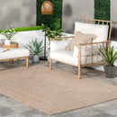 Darcy Braided Tan Indoor/Outdoor Rug - Real Life Co