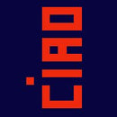 Leather Iphone Case Ciao - Real Life Co.