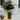 Leoma Metal Table Lamp, Olive - Real Life Co