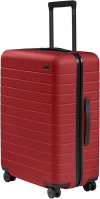 Lightweight Hard Shell Suitcase with Spinner Wheels, Medium - Real Life Co