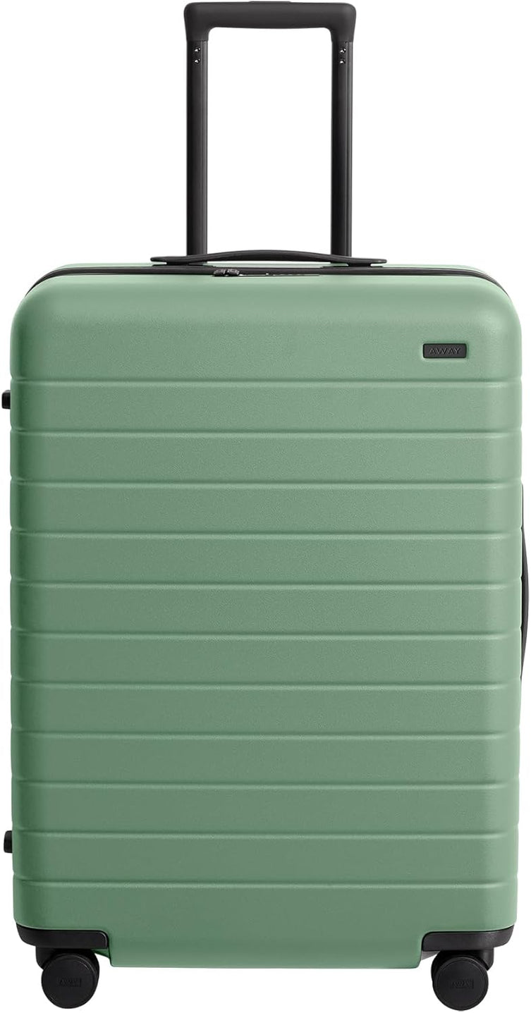 Lightweight Hard Shell Suitcase with Spinner Wheels, Medium