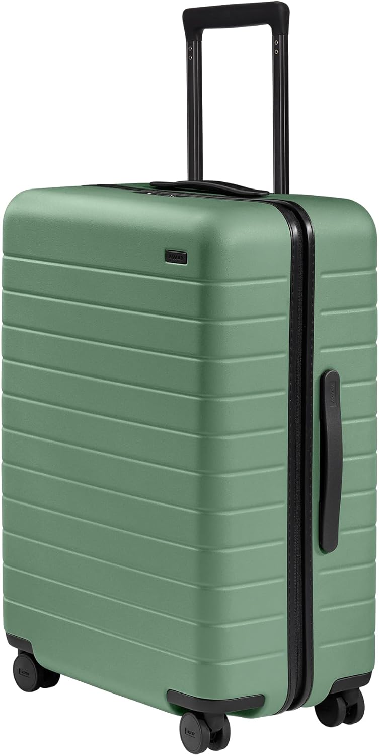 Lightweight Hard Shell Suitcase with Spinner Wheels, Medium