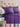 More than Basic Comfy Breathable & Cooling Bed Sheets Set - Real Life Co