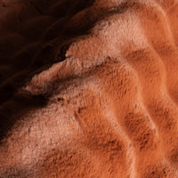 Plush Cloud Washable Rug in Brick - Real Life Co