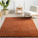 Plush Cloud Washable Rug in Brick - Real Life Co
