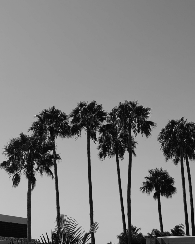 The Honest Coachella Review_ What Nobody Posts After the Weekend (3)