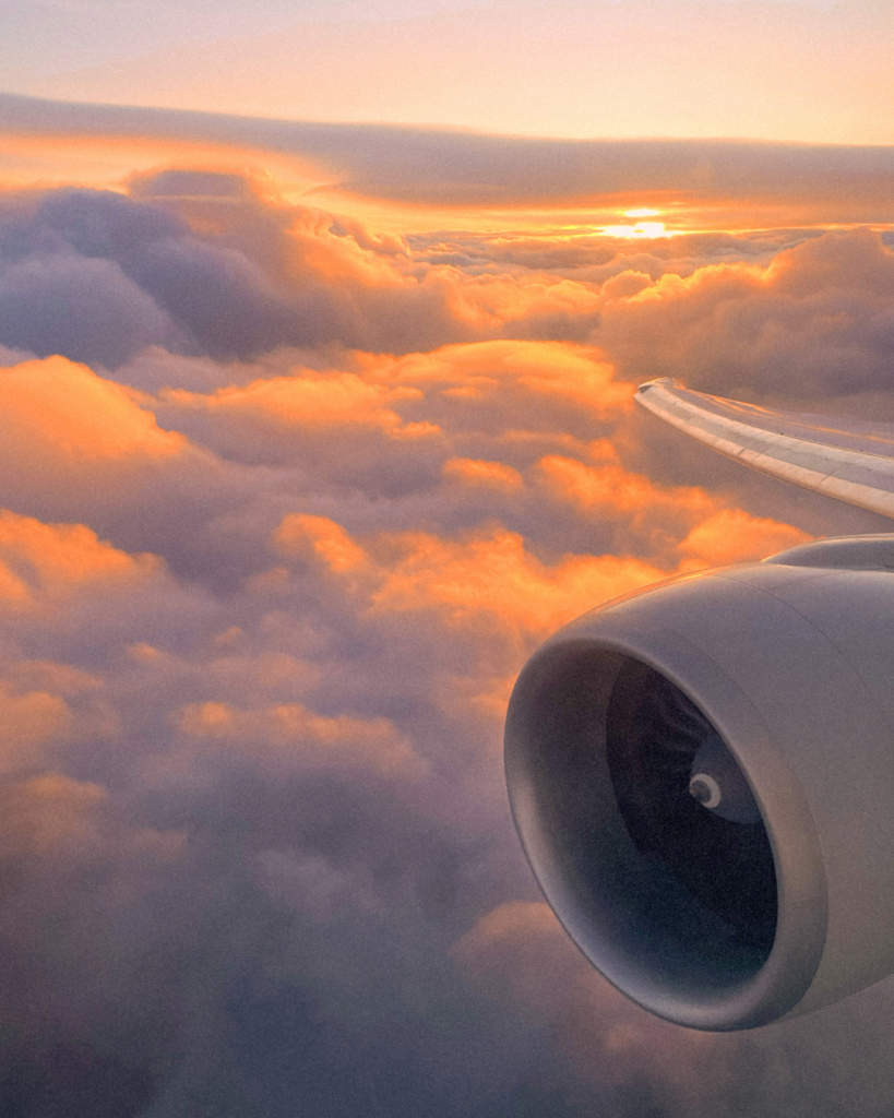 The Plane Movie Is Its Own Genre. Here's How to Pick One