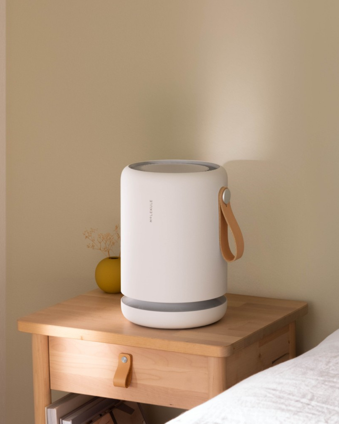 Why Air Purifiers Are Essential For Dorms